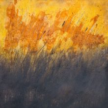 24-bettina-hachmann